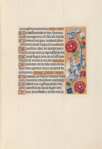Heures de la reine Isabelle la Catholique, reine d