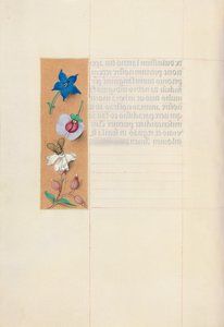 Heures de la reine Isabelle la Catholique, reine d