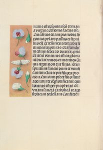 Heures de la reine Isabelle la Catholique, reine d