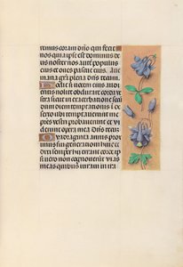 Heures de la Reine Isabelle la Catholique, Reine d