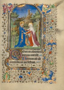 La visite