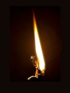 Burning Butterfly 8, 2013 (Lambda print) - Mat Collishaw
