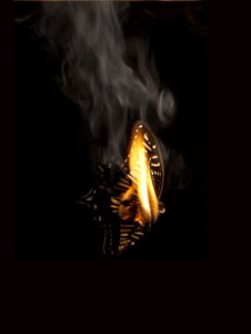 Burning Butterfly 9, 2013 (Lambda print)