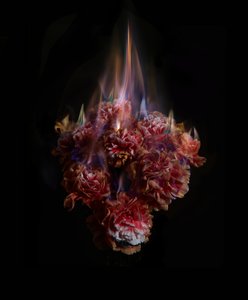 Fading Memories of the Sun, 2013 (photographie C-type) - Mat Collishaw