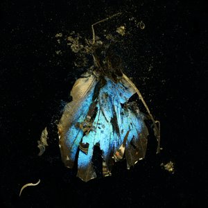 Insecticide 16, 2009 (C-type photograph) - Mat Collishaw