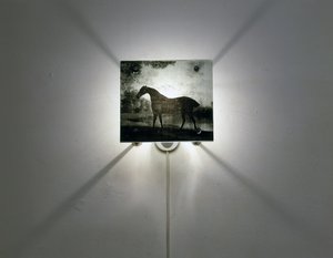 Chevaux Stubbs
