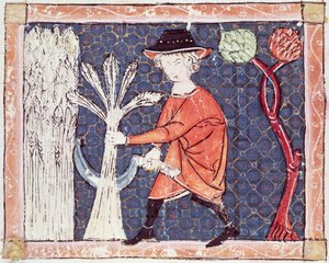 Fol.58v Juillet : La Moisson - Matfre Ermengaut