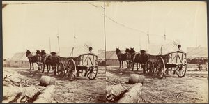  - Mathew B. Brady