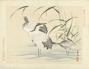 Deux grues avec un jeune (Bloemen- en vogelschetsen van Keibun- deel drie)