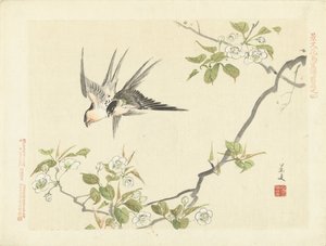 Deux hirondelles - Matsumura Keibun