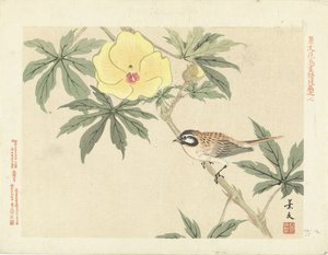Oiseau sur branche avec fleur jaune - Matsumura Keibun
