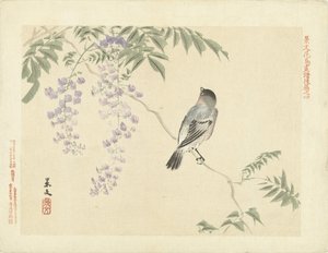 Oiseau sur une branche de glycine - Matsumura Keibun