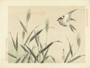 Oiseau volant près des herbes - Matsumura Keibun