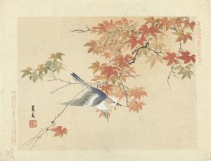 Oiseau volant près de branches d