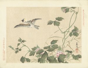 Oiseau volant près d
