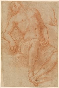 Un nu masculin, à moitié allongé - Matteo Rosselli