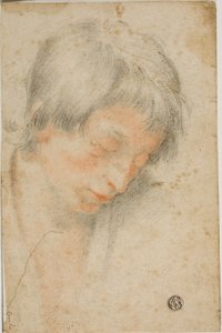 Tête de jeune regardant vers le bas - Matteo Rosselli