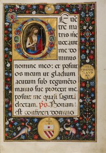 Initiale D : Saint Jean Baptiste - Matteo da Milano