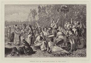 Pauvreté hors de la ville, cueilleurs de houblon dans les champs