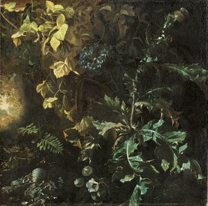 Chardons et autres plantes sur un sol forestier, un paysage au-delà, fragment