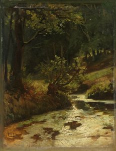 Ruisseau dans les bois près d