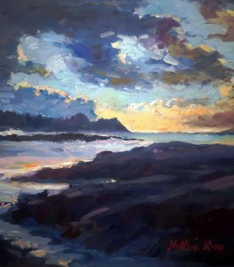Un coucher de soleil éclatant sur la côte - Matthys Moss