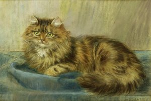 Chat persan - Maud D. Heaps