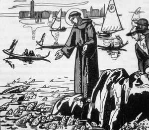 Saint François d