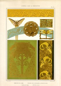 Motifs d