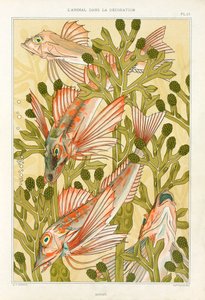 Rouget, pub. 1897 - Maurice Pillard Verneuil