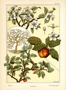 Le Pommier - Maurice Pillard Verneuil
