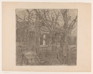 Arbres autour d