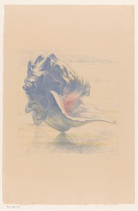 Coquillage - Maurits van der Valk (signed by artist)