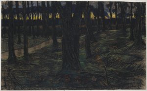 Vue de forêt au coucher du soleil - Maurits van der Valk