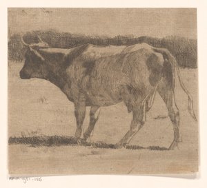 Vache dans un pré - Maurits van der Valk