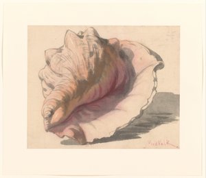 Coquillage - Maurits van der Valk
