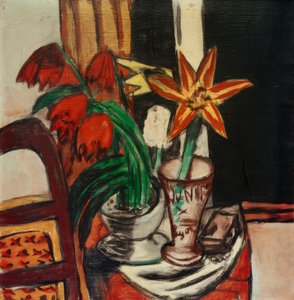 Tulipe rouge et lys de feu