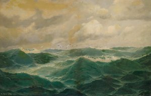 Mouettes au-dessus de la mer agitée