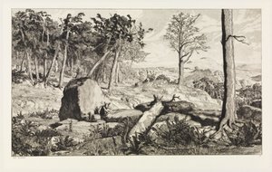 Simplicius dans la solitude de la forêt (Intermezzi, opus IV, planche 10) - Max Klinger