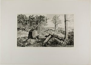 Simplicius dans la solitude de la forêt, planche dix de Intermezzos
