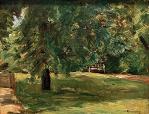 Banc de jardin sous le marronnier dans le jardin de Wannsee