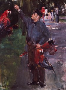 Homme avec des perroquets