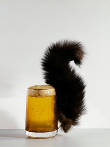 Le verre à écureuil