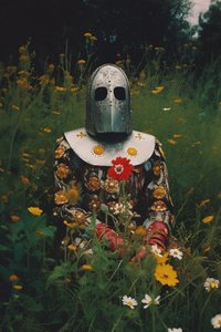 Le chevalier en fleurs - Max Sandström