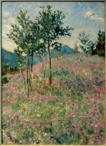 Paysage de montagne avec champ de phacélies