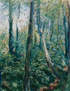 Chemin forestier