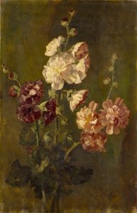 Roses trémières