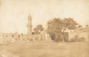 Vue prise à Béni-Souef, 1850