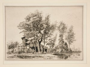 Acacias - Maxime Lalanne