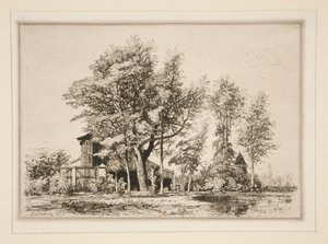 Acacias - Maxime Lalanne